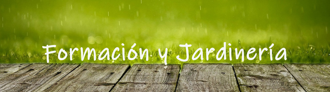 Formación y Jardinería Logo | Formación y Jardinería