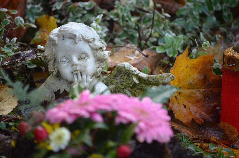 Decoración de jardines elementos | Formación y Jardinería
