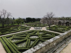 El boj en el jardín | Formación y Jardinería
