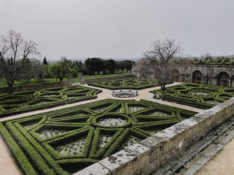 El boj en el jardín | Formación y Jardinería