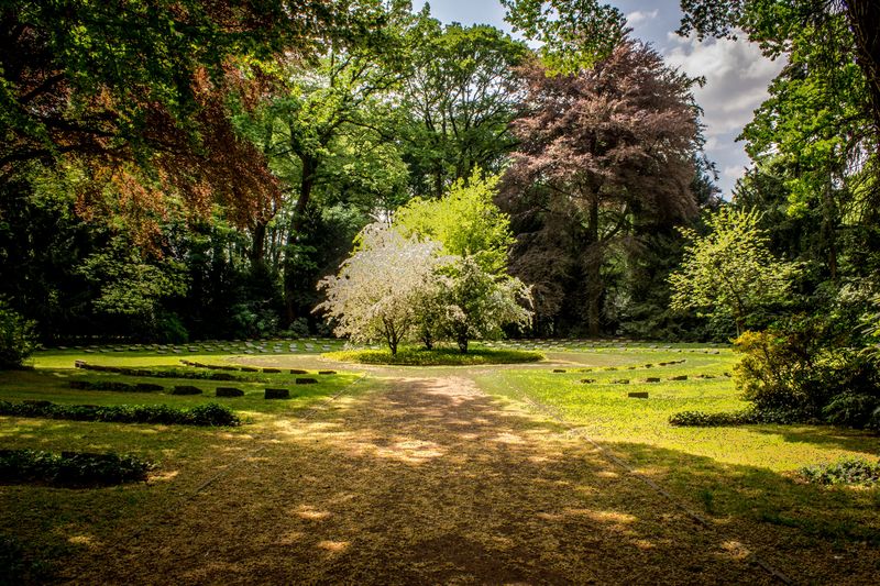Cómo seleccionar las plantas adecuadas para tu jardín