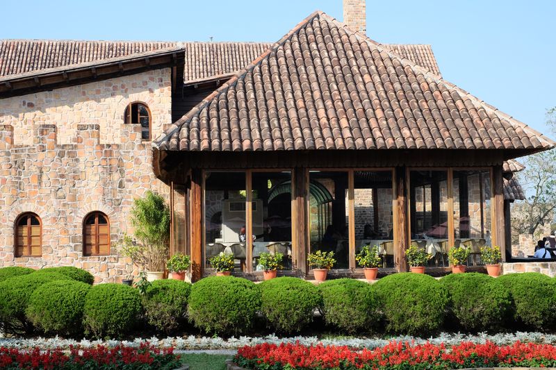 Colores con arbustos en el Jardín | Formación y Jardinería